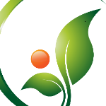 Herbal_dubai Dr Rashel Vitamin C Serum