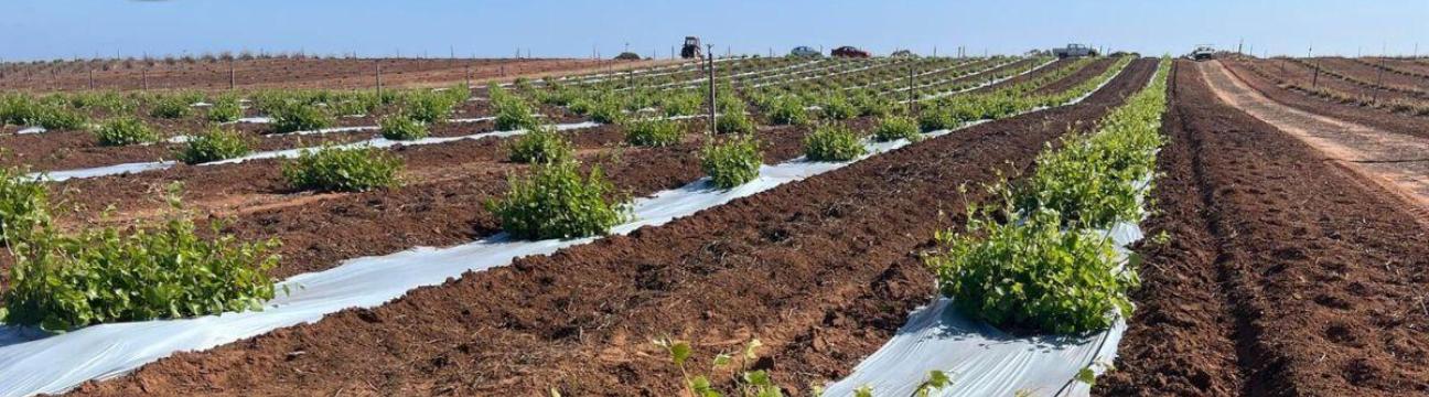 Bio Agri