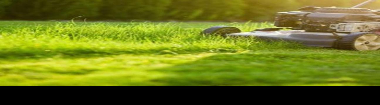 GreenGo Garden Service