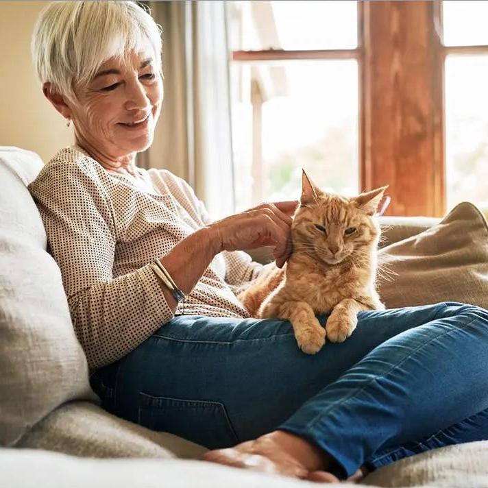 Guardian Pettrust