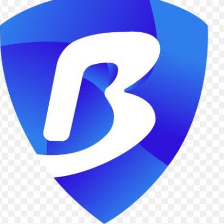 Bitbrowser Bit