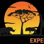 Africa Travel Expert