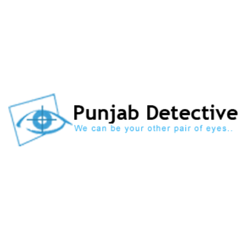 Punjab   Detective