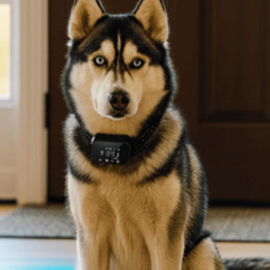 Furthrive GPS