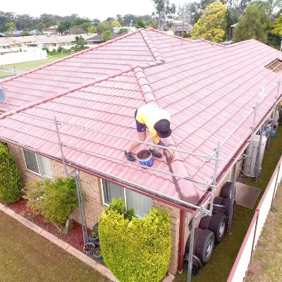Newcastle Roofing Professionals