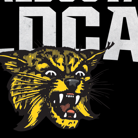 valdosta wildcats