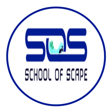 School Of Scape 