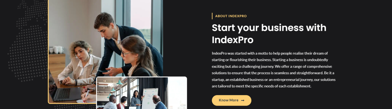 Index Pro