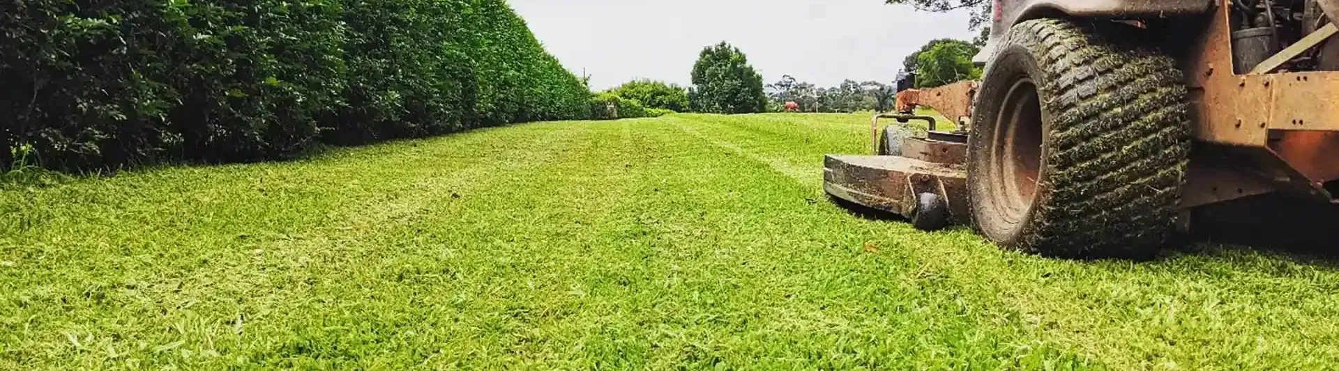 Brothers Gardenscape
