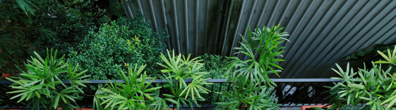 CMK  Habitat