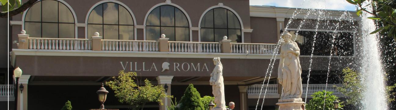 The Villa  Roma 