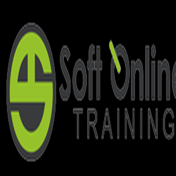 Soft Online Training