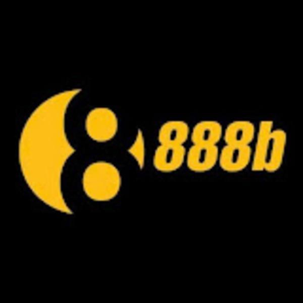 888B NVV
