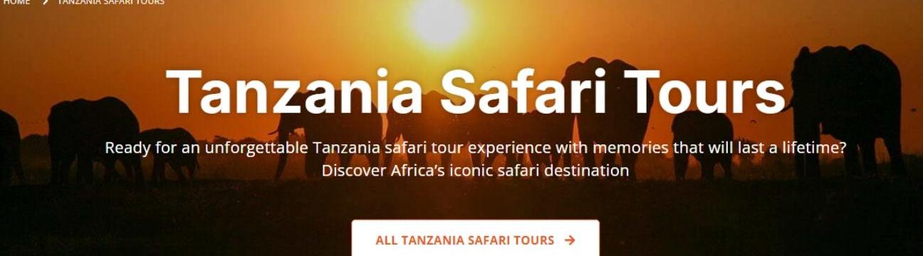 Easy Travel And Tour Ltd