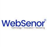 WebSenor InfoTech
