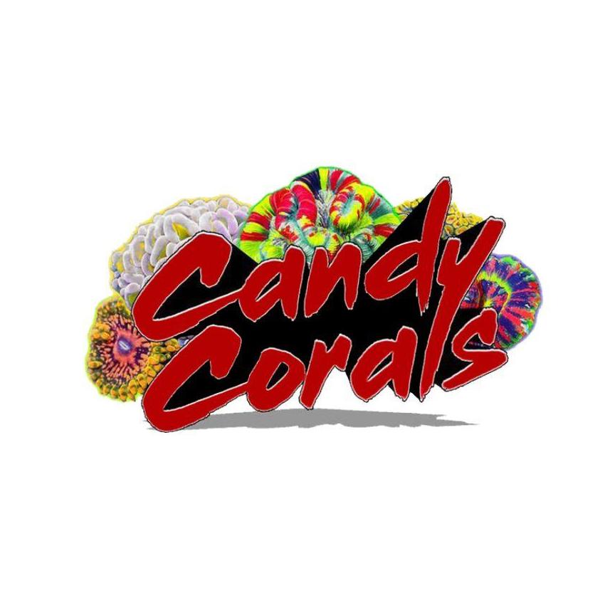  Candy  Corals