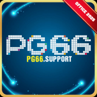 Pg66 Support