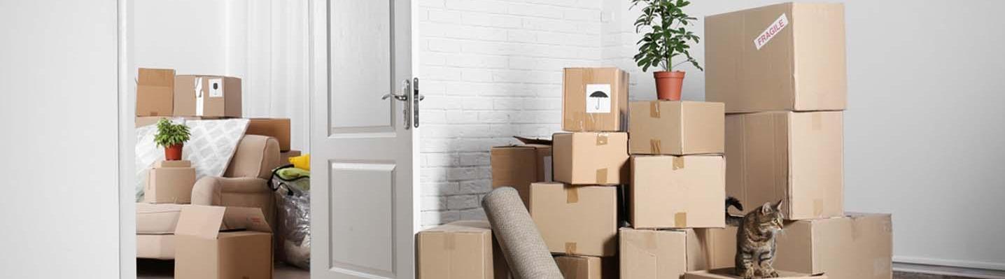 Movers And Packers In Dubai
