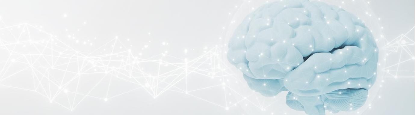 Mental Health Supporter