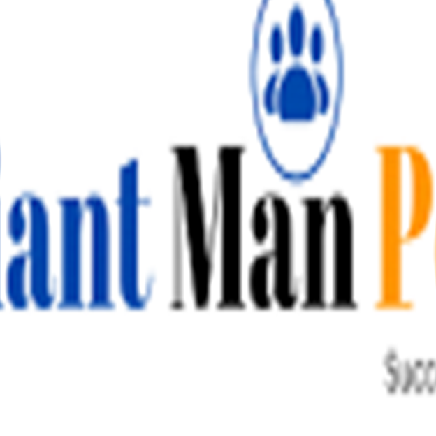 Brilliant Manpower