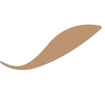 Veeserve Consultant