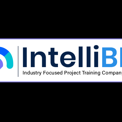 IntelliBi SEO