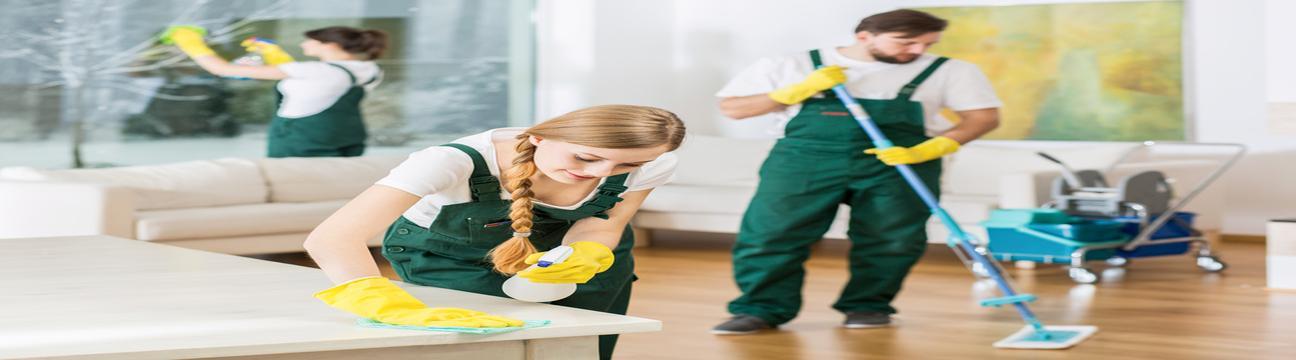 Rainforest Eco Cleaning