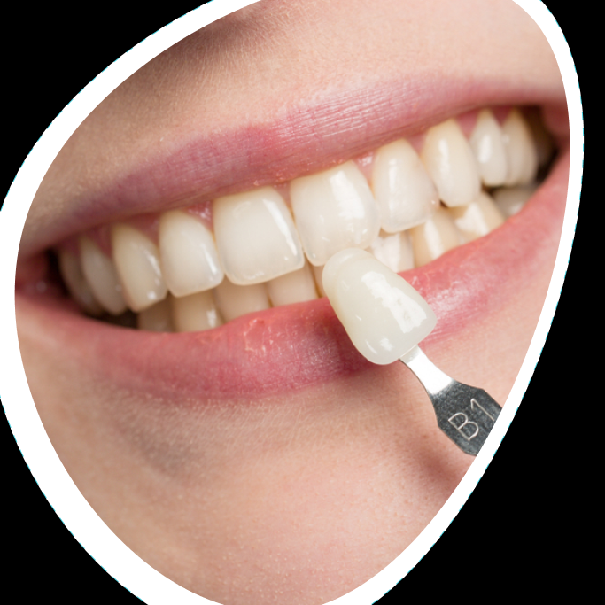 Primo Dental
