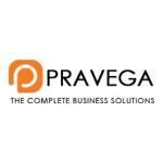 Pravega Business  Consultants