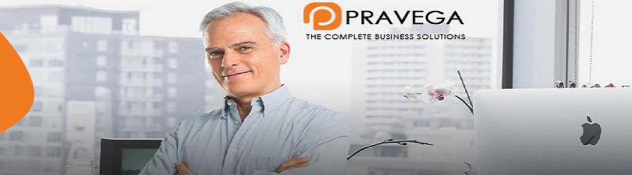 Pravega Business  Consultants