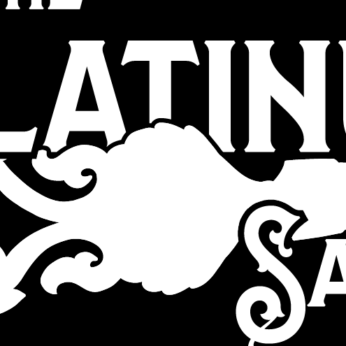 The Platinum Salon