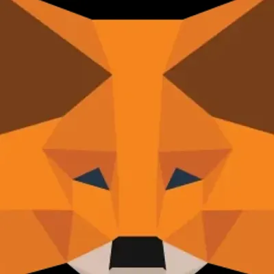 MetaMask Chrome  Extension