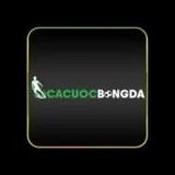 C&aacute; cược  B&oacute;ng đ&aacute;
