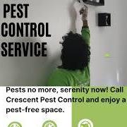 Home Town Pest  And Terminate Control