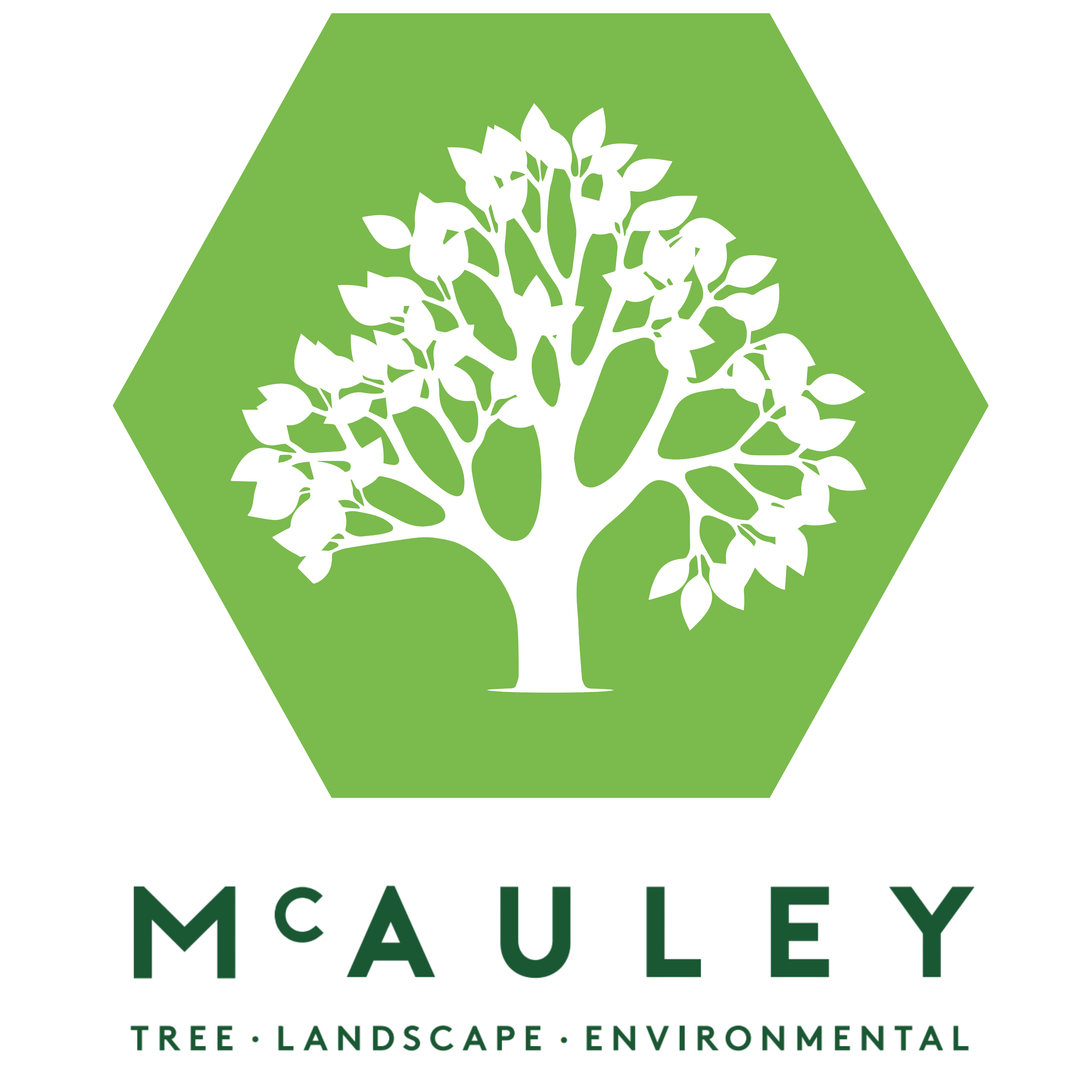 McAuley Tree Surgery