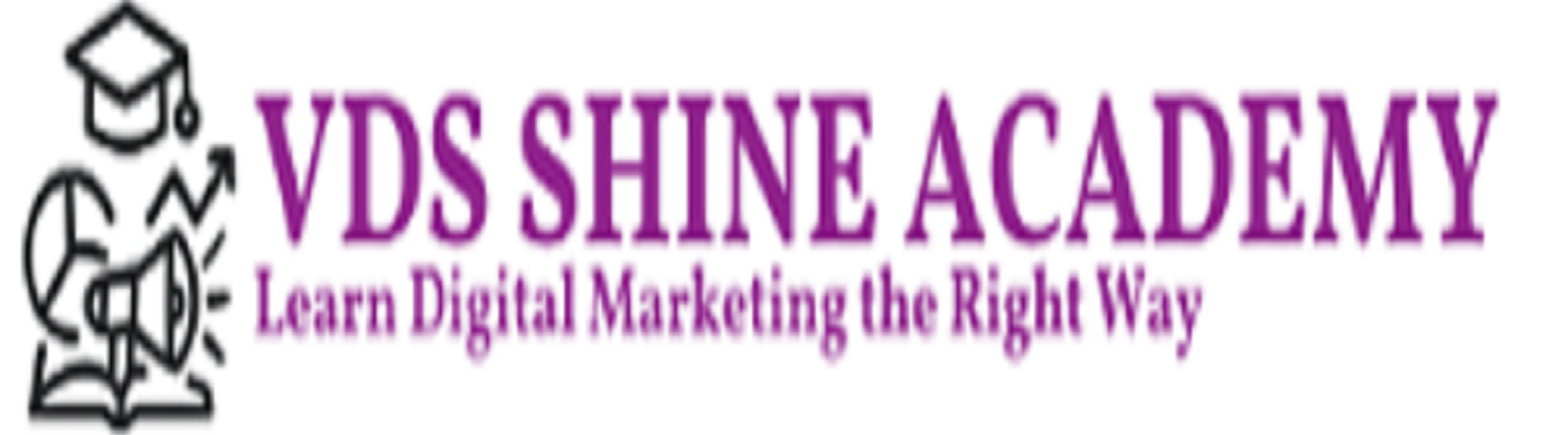 VDS SHINE ACADEMY