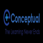 Conceptual Anesthesia