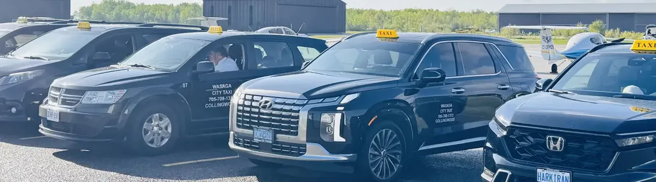 Wasaga City Taxi