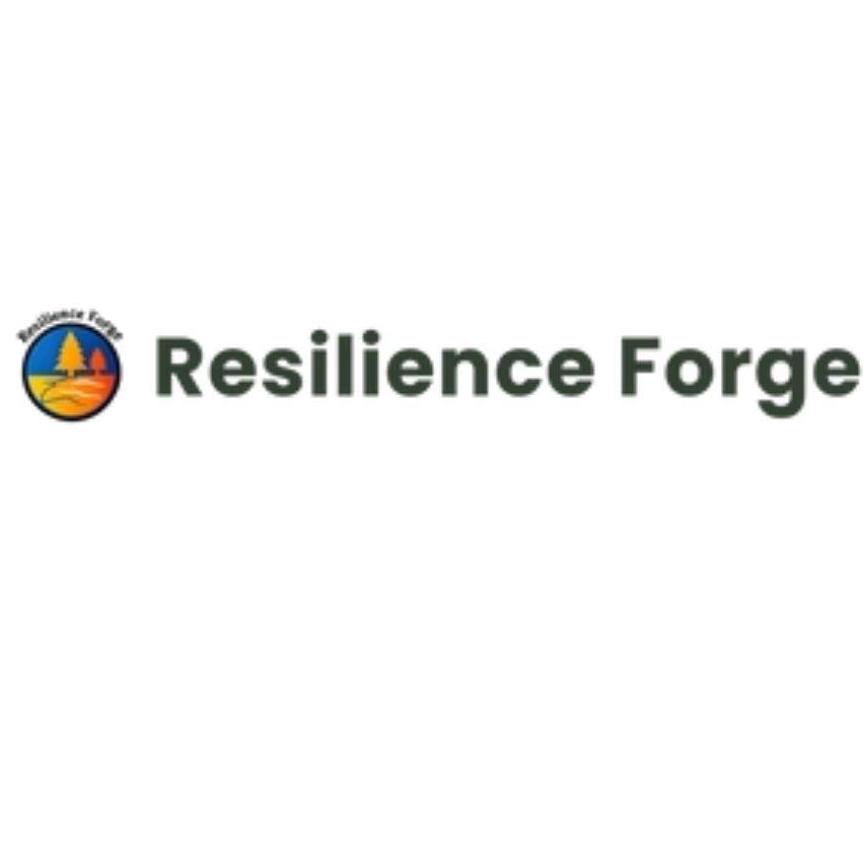 Resilience Forge