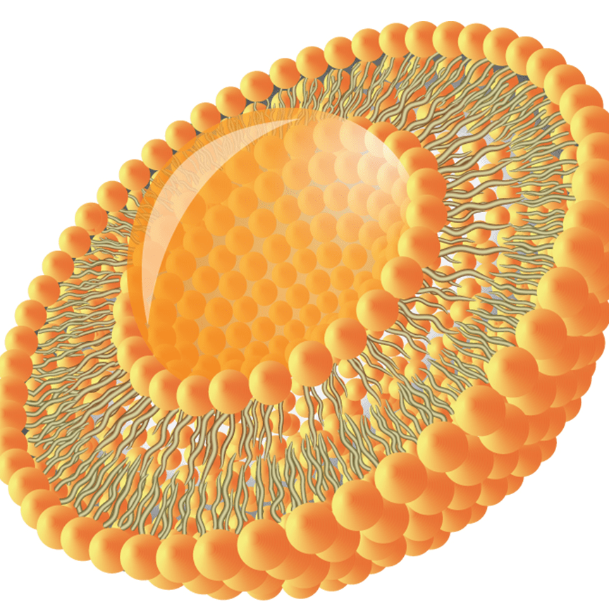 Lipso Bio