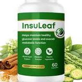 InsuLeaf Usa