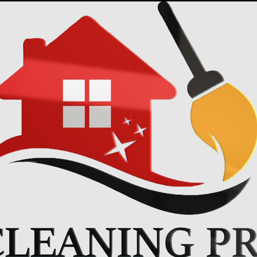Pro  Cleaning1