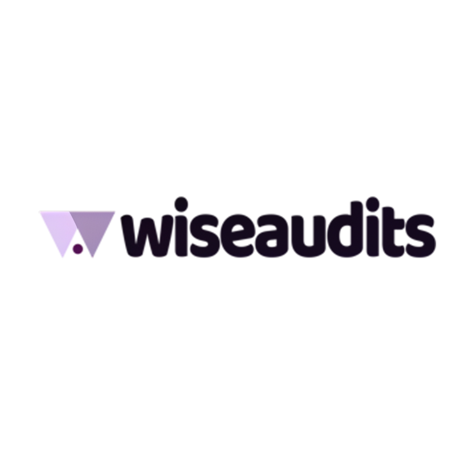 Wise SMSF Audits