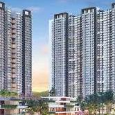 Prestige Goldengrove