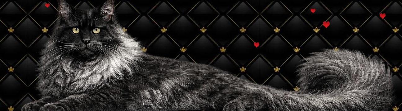 Royal Maine Coon Cattery