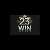 23win vision