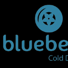 Blueberry First