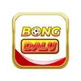 Bongdalu Space
