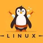 Best Linux Course 2026