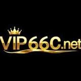 Vip66c net